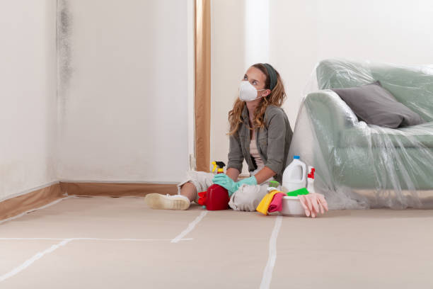 Reliable Mold Removal contractor in Bothell, WA by WQB Mold Removal